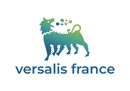 Versalis france